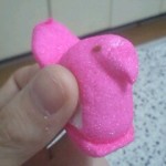 100409_0840~0001 100409_0840~0001.jpg